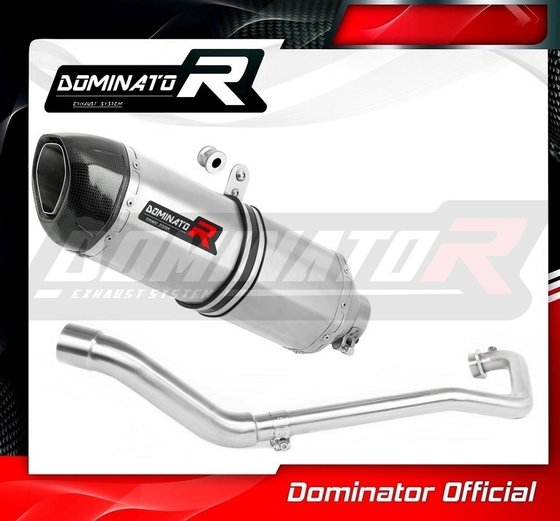 GSX-R 125 (2017 - 2019) exhaust full system silencer hp1 | Dominator