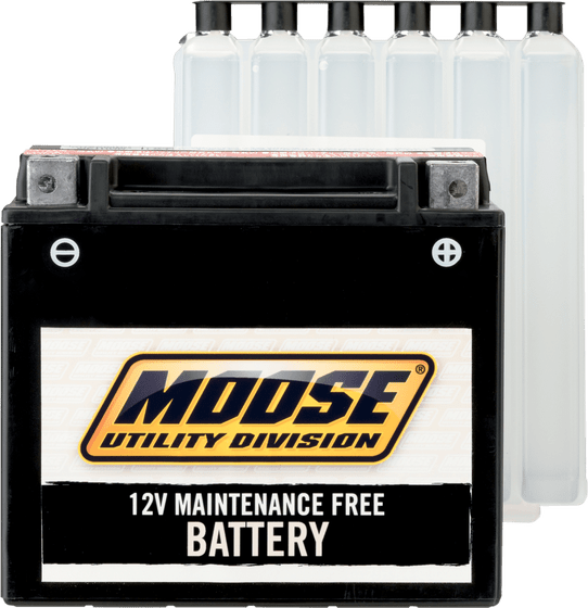 LT F 250 (2002 - 2014) mud battery ytx12-bs | MOOSE UTILITY DIVISION