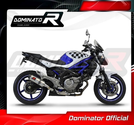 GLADIUS SFV 650 (2009 - 2015) exhaust silencer hp3 | Dominator