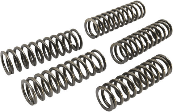 GSX-S 1000 (2016 - 2017) csk series heavy duty clutch spring kits | EBC