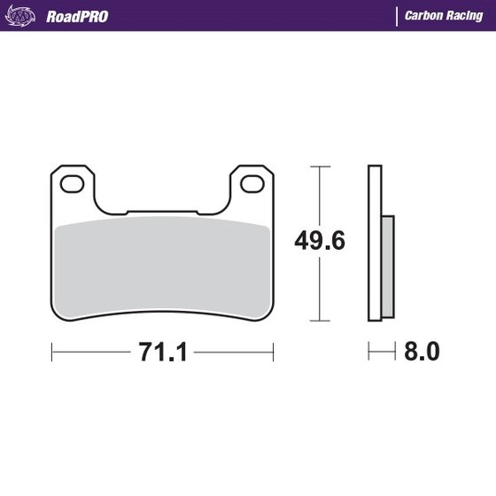 DL 1000 V-STROM (2014 - 2020) carbon racing brake pads | MOTO-MASTER