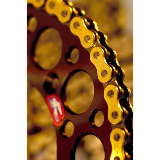 RM 125 (1988 - 2011) r1 works 520x114 chain | RENTHAL