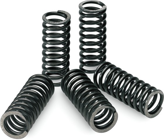 RM Z 450 (2005 - 2019) clutch springs for rmz450 | PRO CIRCUIT