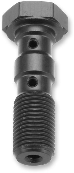 SV 650 (1999 - 2022) double banjo bolt | TRW