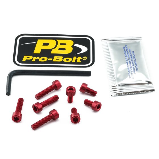 SV 650 (1999 - 2004) red fuel cap screw kit | PRO BOLT