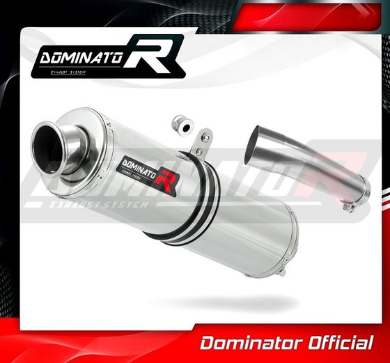 SV 650 (1999 - 2002) exhaust silencer round | Dominator