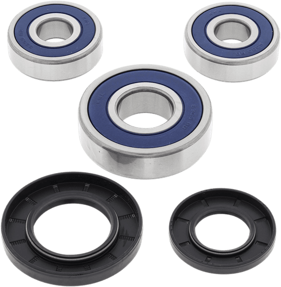 SV 650 (1999 - 2002) wheel bearing kit rear | All Balls