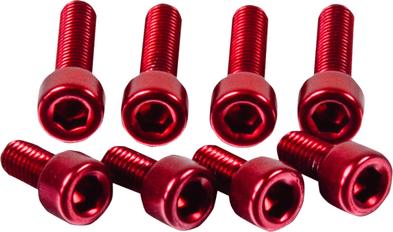 SV 650 (1999 - 2004) red fuel cap screw kit | PRO BOLT