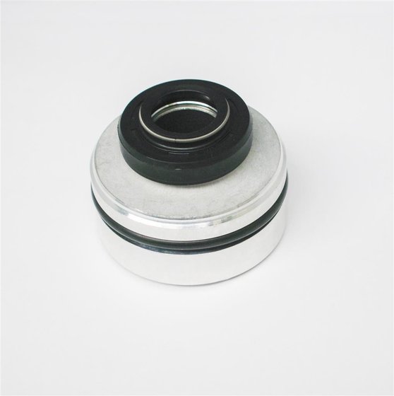 RM 250 (2001 - 2003) shock head seal complete | KYB