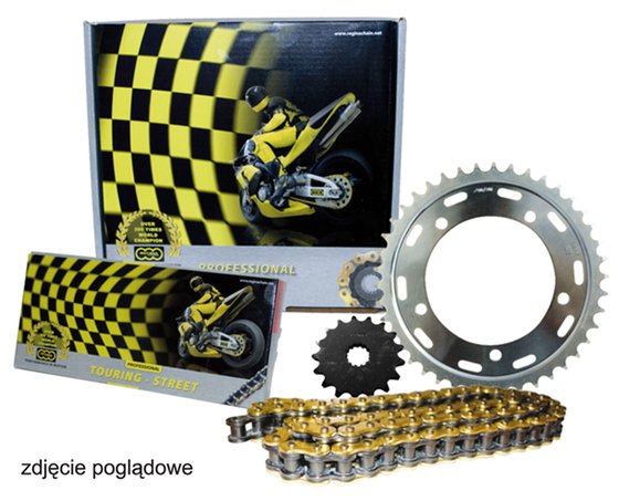 GSX R 600 (2001 - 2003) 137 zrt 110 replacement chain kit with sprockets | REGINA