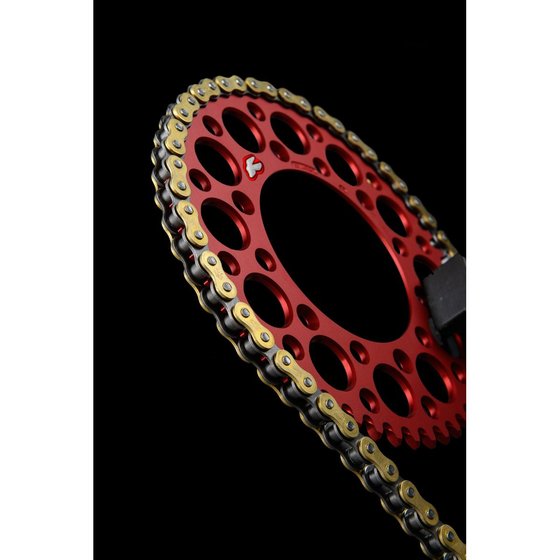 RM 250 (1998 - 2011) r1 works 520x114 chain | RENTHAL