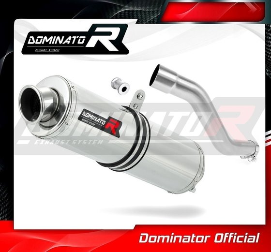 DR 800 S (1970 - 2022) exhaust silencer right side round | Dominator