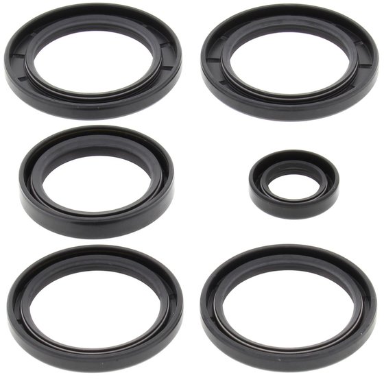 LT V 700 TWIN PEAKS (2004 - 2006) differential bearing and seal kit rear | All Balls