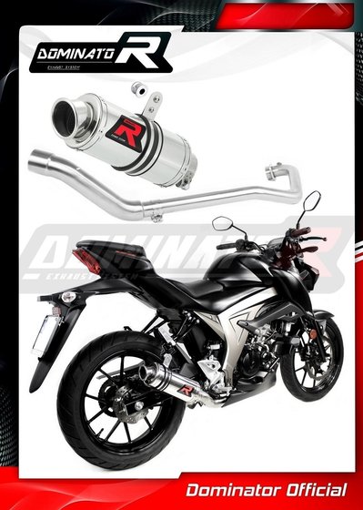 GSX-R 125 (2017 - 2019) exhaust full system silencer gp1 | Dominator