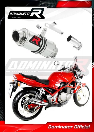 GSF 400 BANDIT (1991 - 1995) exhaust silencer gp1 | Dominator