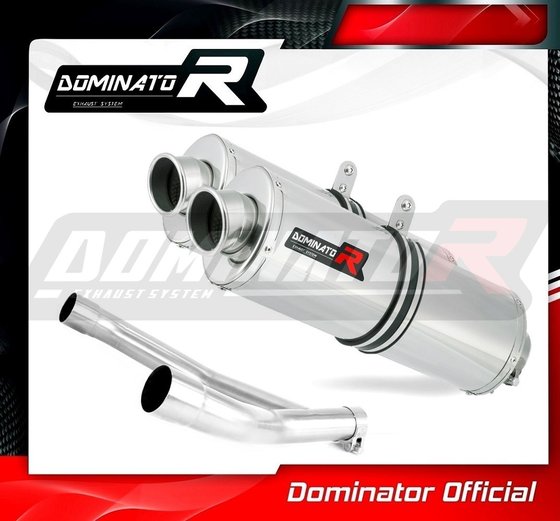 DR 750 S BIG (1970 - 2022) exhaust silencer dual oval | Dominator