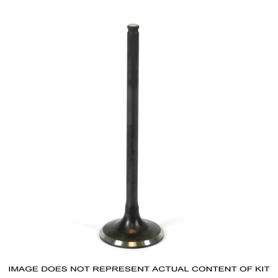 DR-Z 400 SM (2005 - 2022) intake valve steel | ProX