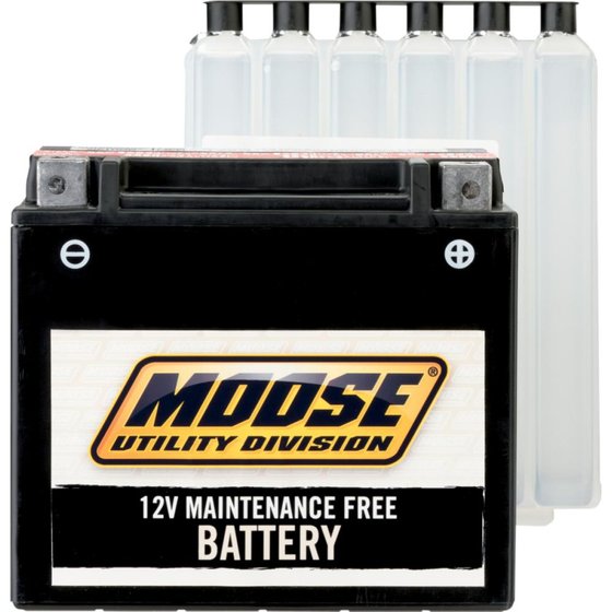 RGV 250 (1988 - 1997) mud battery ytx4l-bs | MOOSE UTILITY DIVISION