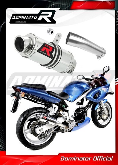 SV 650 (1999 - 2002) exhaust silencer gp1 | Dominator