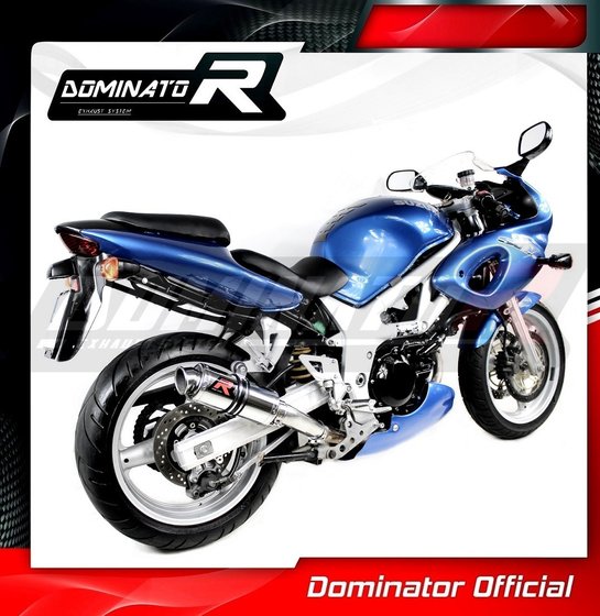 SV 650 (1999 - 2002) exhaust silencer gp1 | Dominator