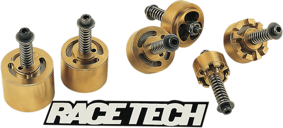 GS 550 (1977 - 1986) rt gold valve emulators kit | RACE TECH