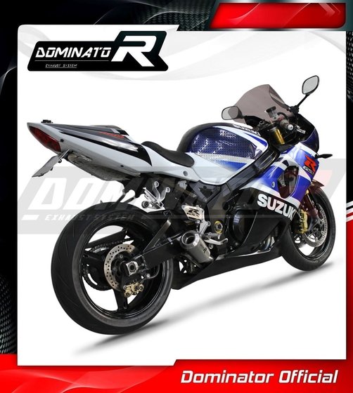 GSX-R 1000 (2001 - 2004) exhaust silencer muffler slip-on gps | Dominator