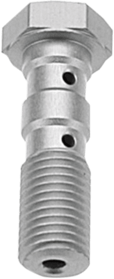 TL 1000 S (1997 - 2001) double banjo bolt | TRW