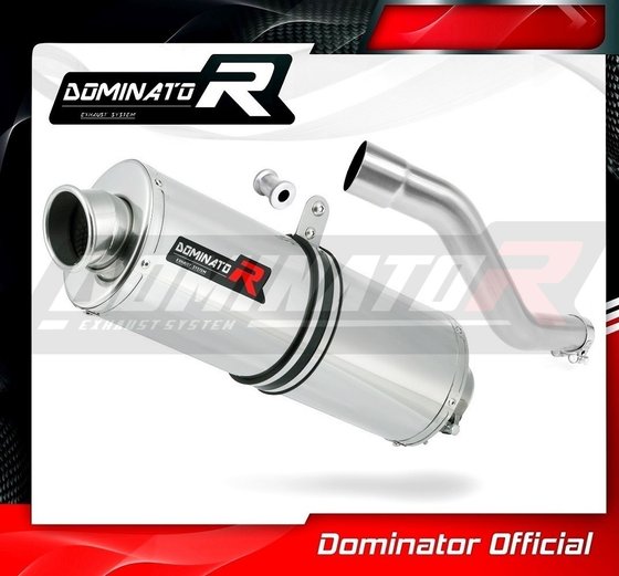 DR 750 S BIG (1970 - 2022) exhaust silencer right side oval | Dominator