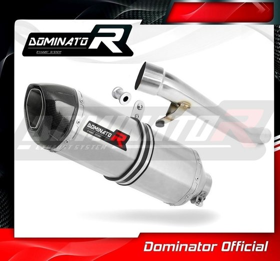 GSF 600 S BANDIT (2000 - 2004) exhaust silencer hp1 | Dominator