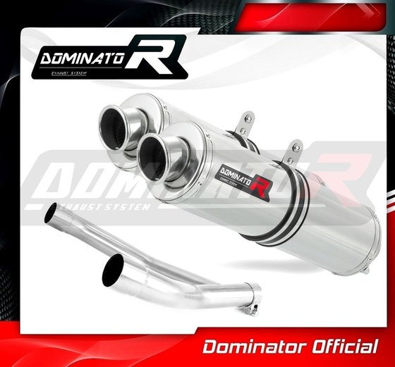 DR 750 S BIG (1970 - 2022) exhaust silencer dual round | Dominator