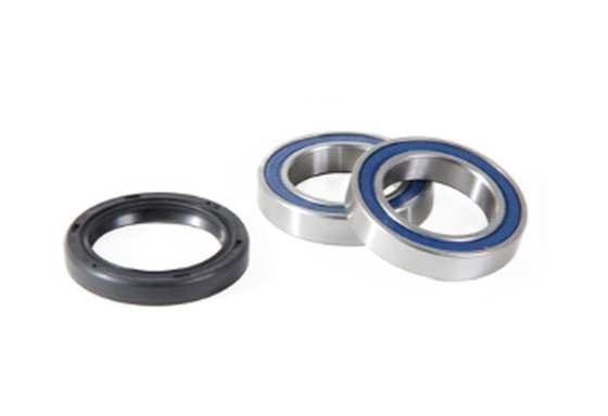 LT F 250 (1988 - 2001) rear wheel bearing set | ProX