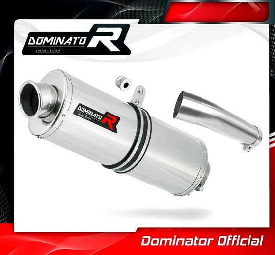 SV 650 (1999 - 2002) exhaust silencer oval | Dominator