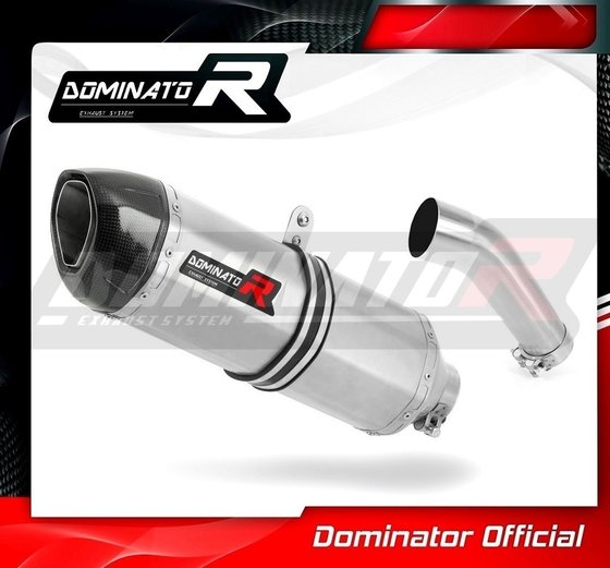 SV 650 (2003 - 2015) exhaust silencer hp1 | Dominator