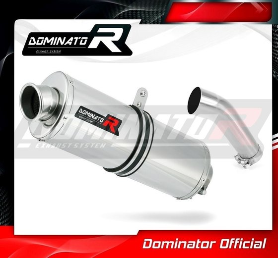 SV 650 (2003 - 2015) exhaust silencer oval | Dominator