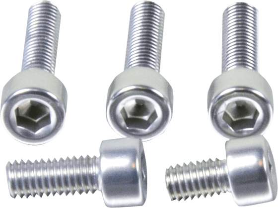 SV 1000 (2003 - 2004) fuel cap screw kit | PRO BOLT