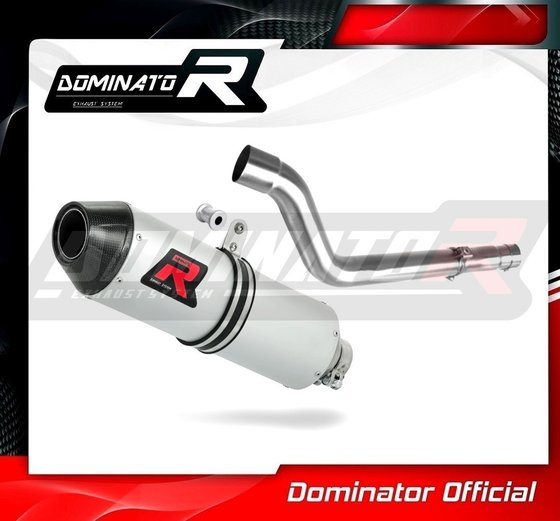 DR-Z 400 SM (2000 - 2019) exhaust silencer mx2 | Dominator