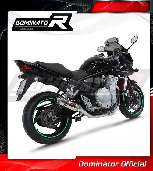 GSF 650 BANDIT (2007 - 2016) full exhaust system silencer gp1 | Dominator