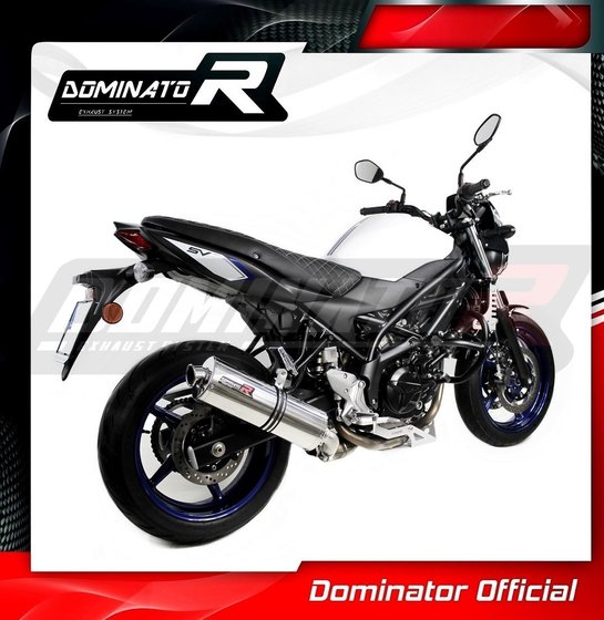 SV 650 (2016 - 2022) exhaust silencer oval | Dominator