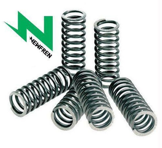 GSX-R 750 (1988 - 1989) clutch springs | NEWFREN