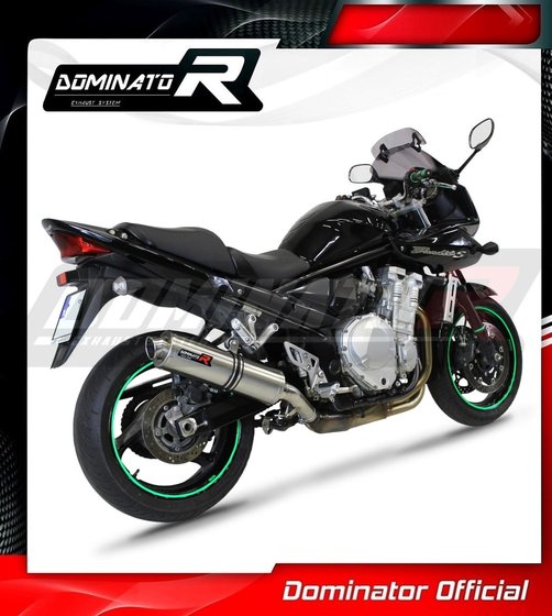 GSF 650 BANDIT (2007 - 2016) eu approved exhaust silencer st | Dominator