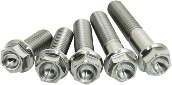 DR-Z 400 (2000 - 2017) titanium bolt pack of 2 (m8x40) | SCAR