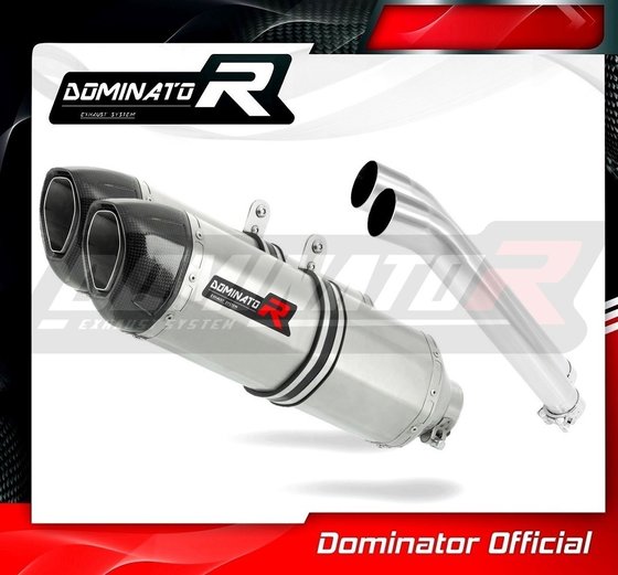 DL 1000 V-STROM (2002 - 2012) exhaust silencer muffler hp1 | Dominator