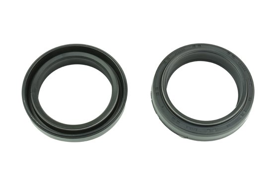 GW 250 (2012 - 2018) fork seals | ATHENA