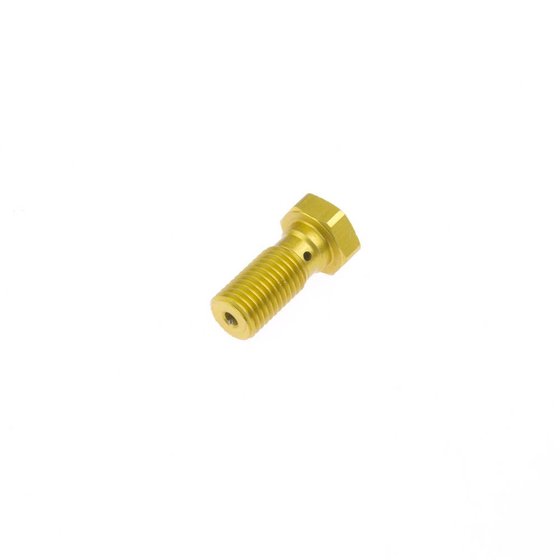 GSX-R 1100 (1986 - 1998) gold banjo bolt m10x1.25 | TRW