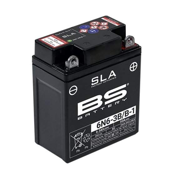 FS 50 (1980 - 1980) 6n4-2a/a-4 battery | BS BATTERY