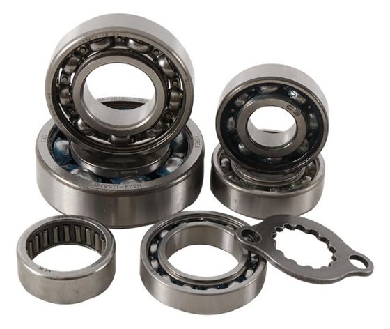 LT R 450 QUADRACER (2006 - 2009) transmission bearing kit | Hot Rods