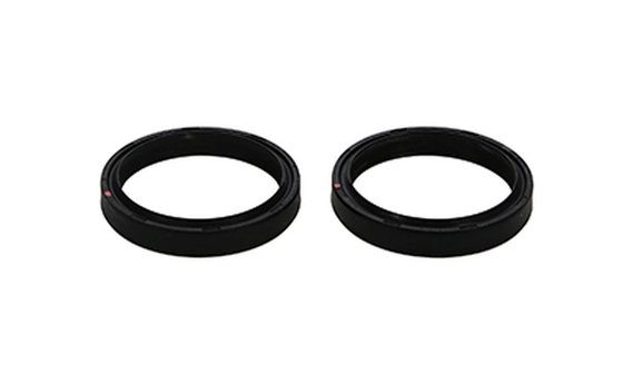 RM Z 250 (2016 - 2020) fork seal set | ProX