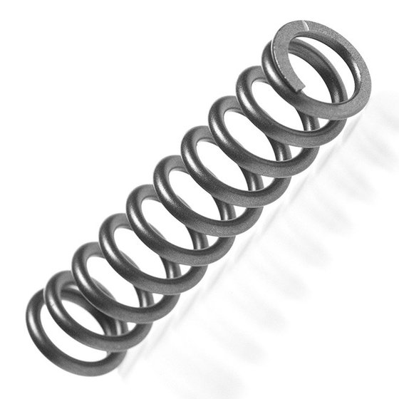 RM Z 250 (2019 - 2022) fork springs | KYB