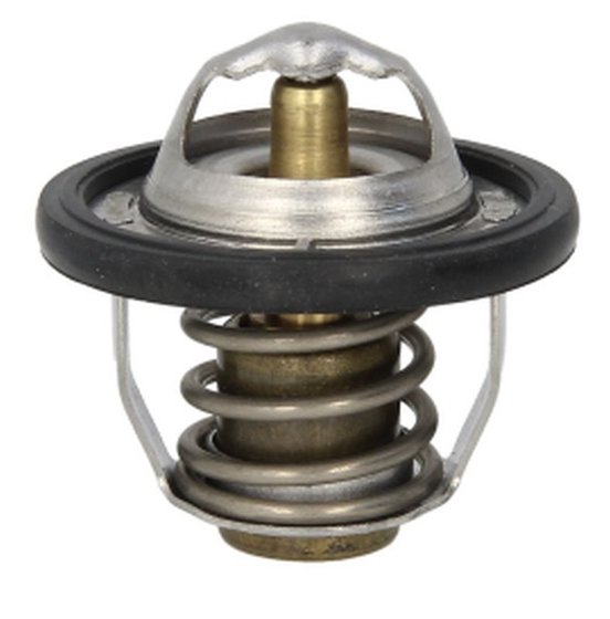 GSR 600 (2006 - 2010) thermostat | Tourmax