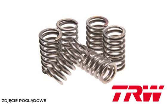 RM 250 (2001 - 2002) clutch spring kit | TRW